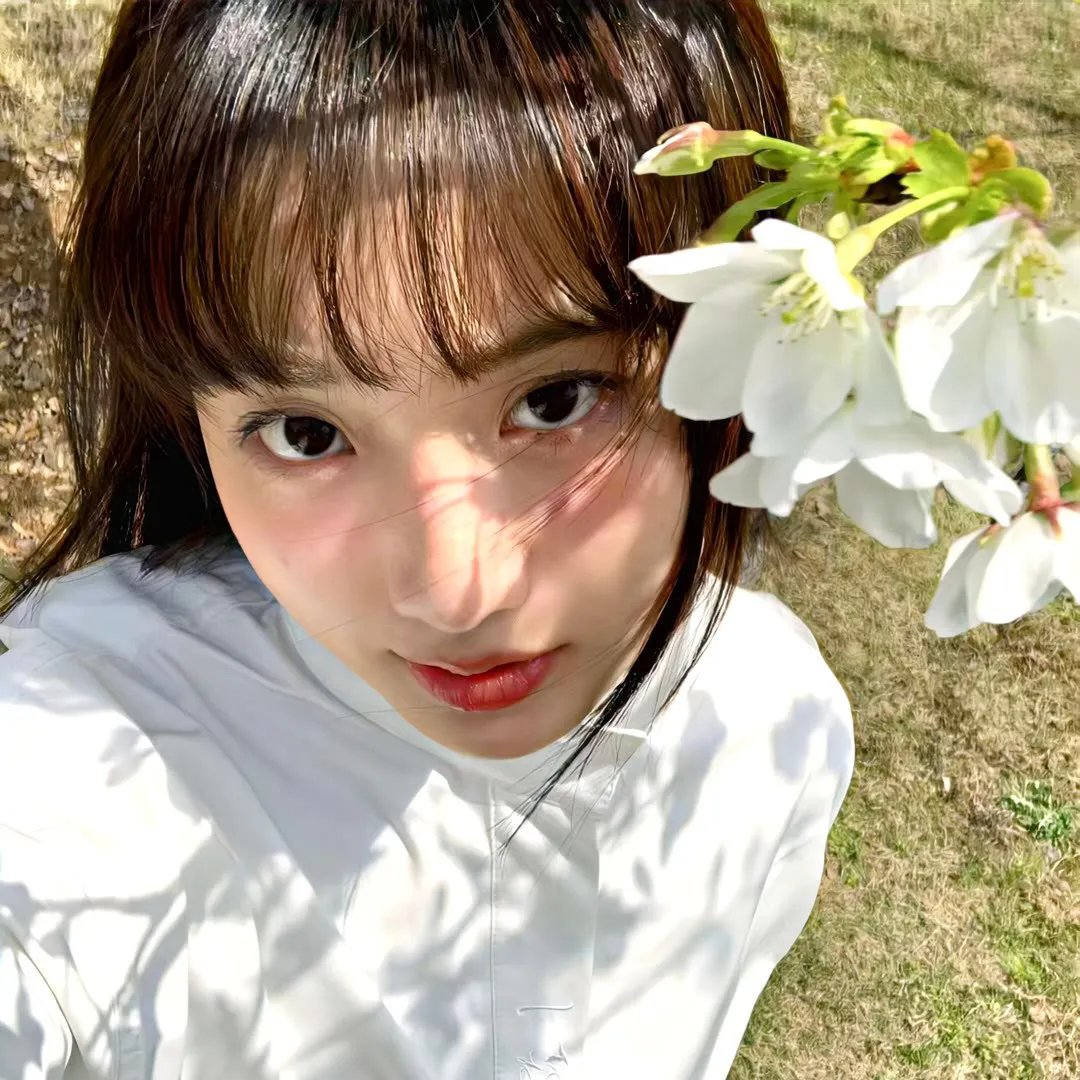 扭曲的家